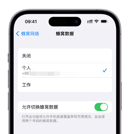 猇亭苹果维修服务分享如何在iPhone上使用双卡 